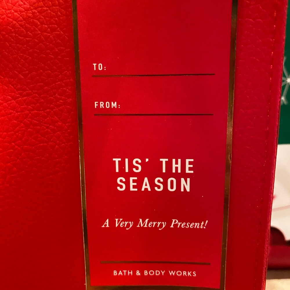 🎉Tis The Season Gift Bag Set 🎉 - Picture 5 of 8